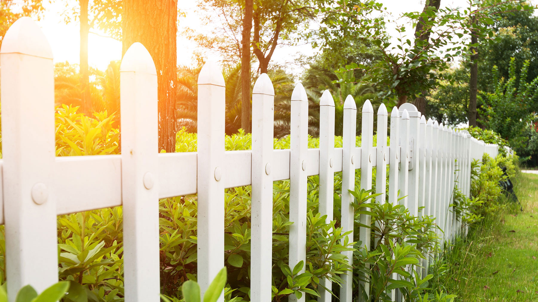 La Vista on Live Oak HOA (Dallas) cover